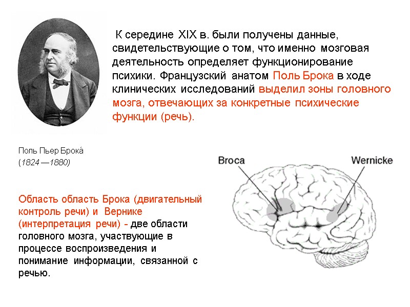 К середине XIX в. были получены данные, свидетельствующие о том, что именно мозговая деятельность